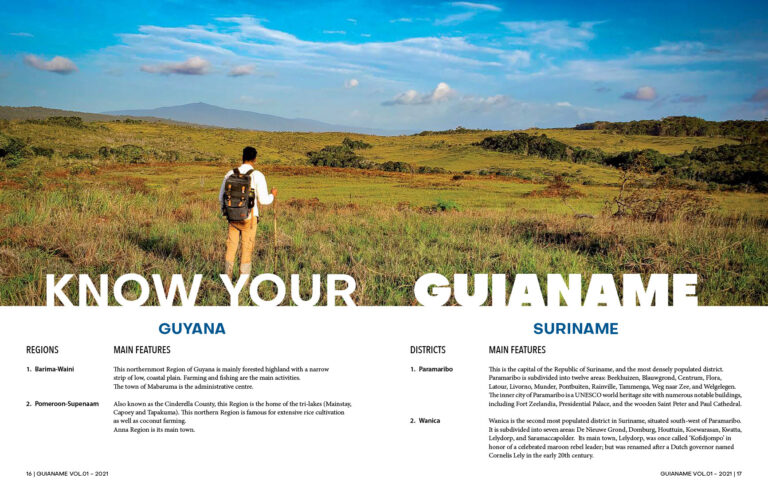 insideGUIANAME01 SPR-9
